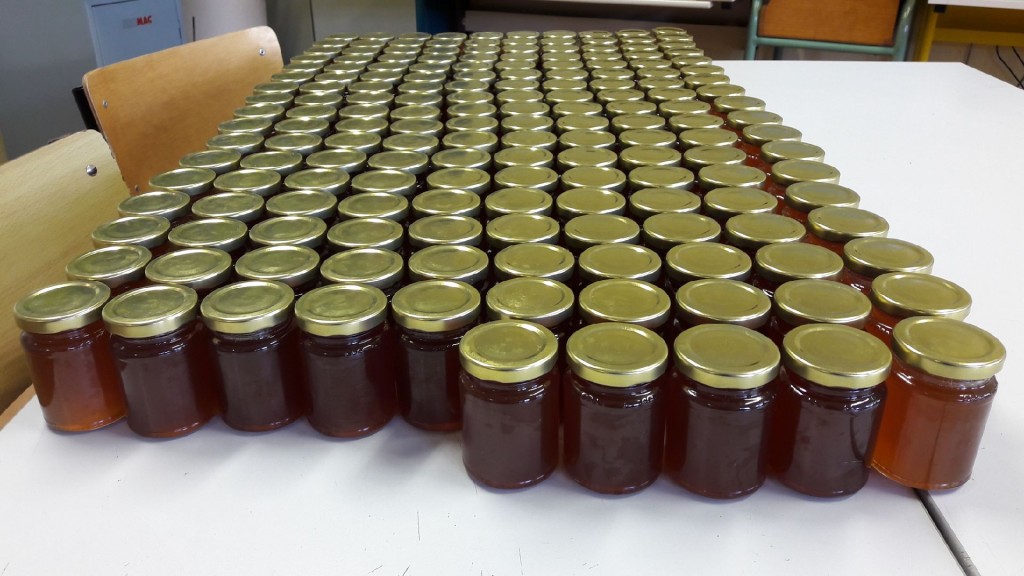 récolte de miel Bain-de-Bretagne (4)