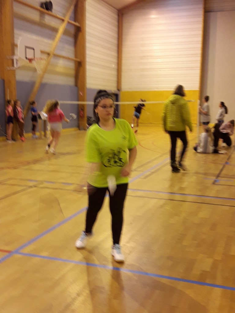 Badminton (7)
