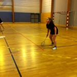 Championnat régional élite badminton - collège Bain-de-Bretagne