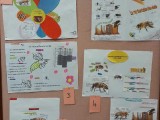 Concours affiches ruches Bain de Bretagne (5)