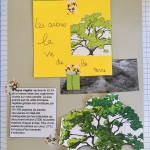 Les arbres arts plastiques collège Saint Joseph Bain-de-Bretagne (24)