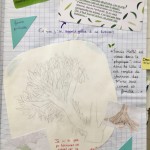 Les arbres arts plastiques collège Saint Joseph Bain-de-Bretagne (30)